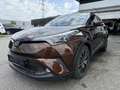 Toyota C-HR Hybrid C-HIC Braun - thumbnail 3