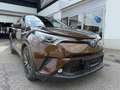 Toyota C-HR Hybrid C-HIC Braun - thumbnail 2