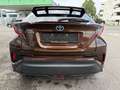 Toyota C-HR Hybrid C-HIC Braun - thumbnail 13