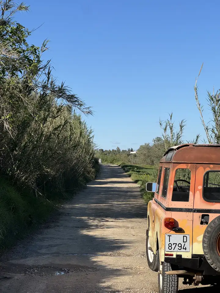 Land Rover Series 2.25 d, foto 3