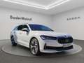 Skoda Superb COMBI 2.0 TDI Matrix ACC AHK Ambition Weiß - thumbnail 8