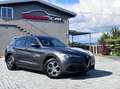 Alfa Romeo Stelvio 2.2 t Business rwd 160cv auto Gris - thumbnail 1