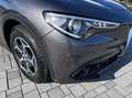 Alfa Romeo Stelvio 2.2 t Business rwd 160cv auto Gris - thumbnail 14