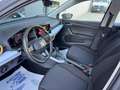 SEAT Arona 1.0 ecotsi Style 110cv dsg Argento - thumbnail 8