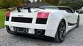 Lamborghini Gallardo Spyder 5.0i V10 40v Blanc - thumbnail 20