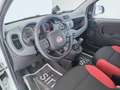 Fiat New Panda 0.9 TwinAir Turbo Natural Power Easy Bianco - thumbnail 12