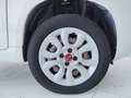 Fiat New Panda 0.9 TwinAir Turbo Natural Power Easy Bianco - thumbnail 8