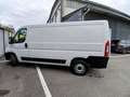 Fiat Ducato 35 2.3 MJT 140CV PM-TN Furgone Blanc - thumbnail 6