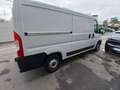Fiat Ducato 35 2.3 MJT 140CV PM-TN Furgone Blanc - thumbnail 2