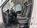 Fiat Ducato 35 2.3 MJT 140CV PM-TN Furgone Blanc - thumbnail 7