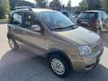 Fiat Panda 1.2 Climbing 4x4 Bronze - thumbnail 6