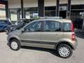 Fiat Panda 1.2 Climbing 4x4 Bronze - thumbnail 5