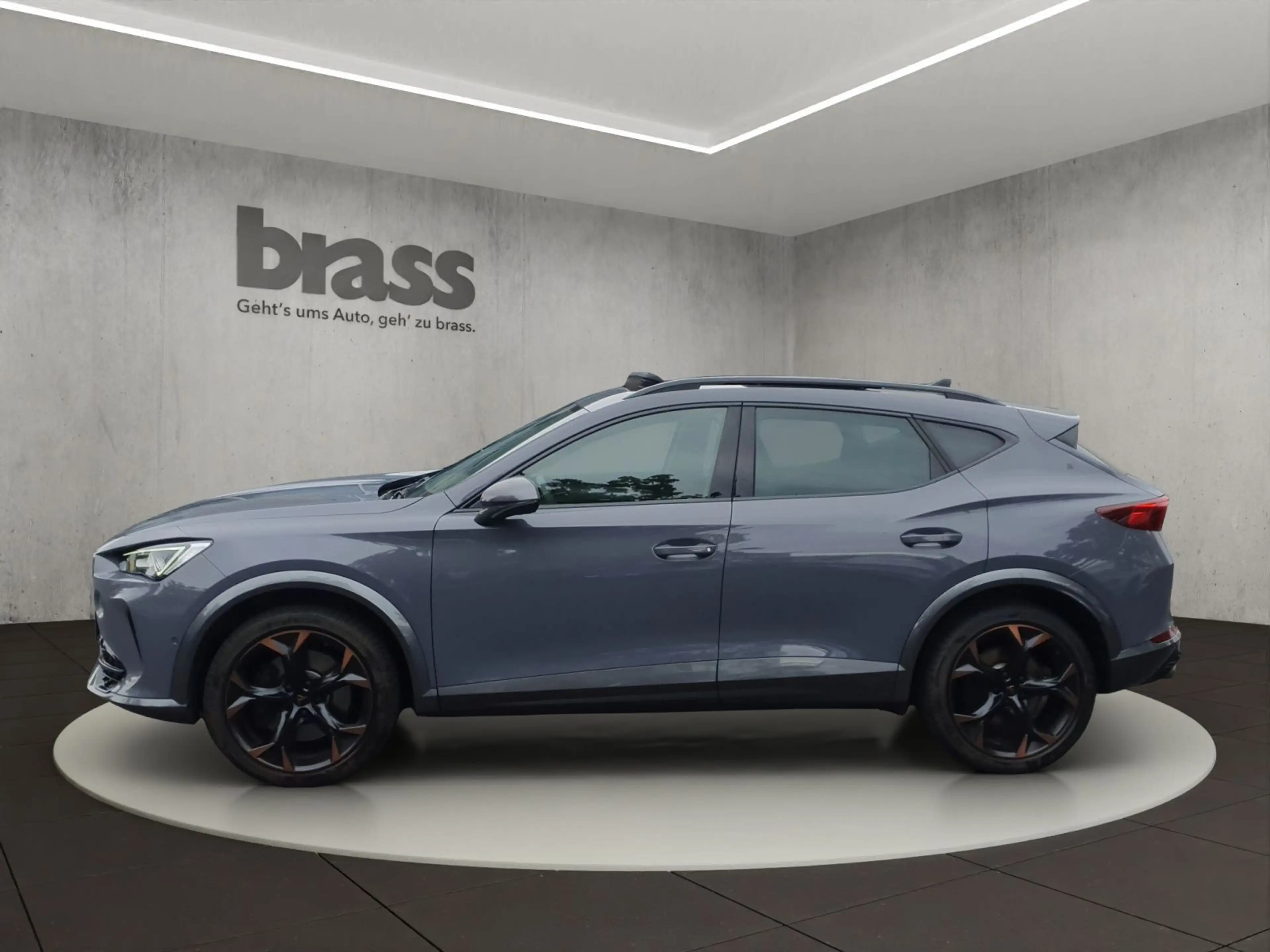 CUPRA Formentor VZ 2.0 TSI 4Drive 228 kW (310 PS) 7-Ga — photo 2