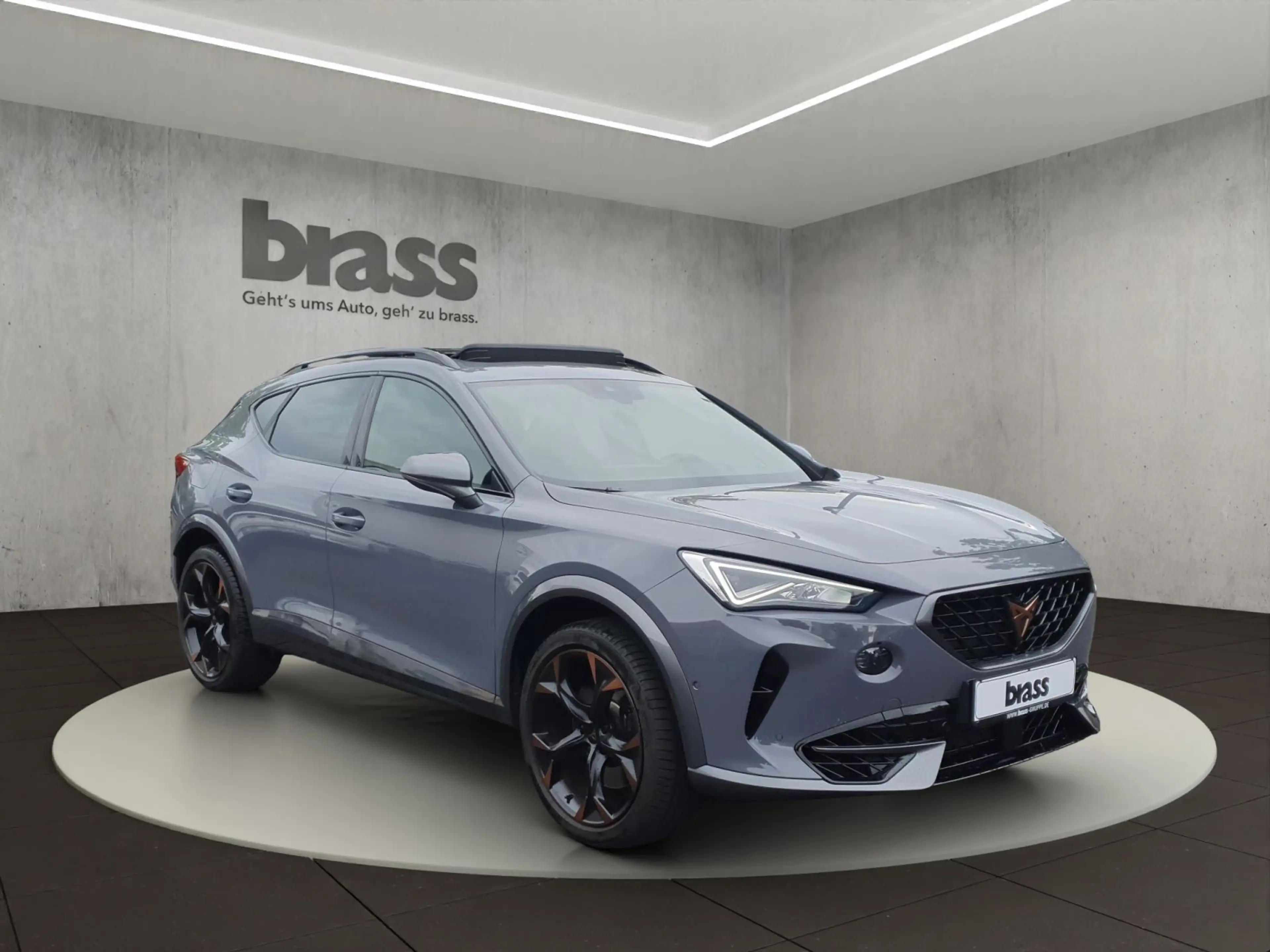 CUPRA Formentor VZ 2.0 TSI 4Drive 228 kW (310 PS) 7-Ga — photo 7