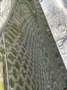 BMW 318 318d DPF Schwarz - thumbnail 6