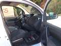 Renault Kangoo Kangoo Express Medium ENERGY dCi 80 L1 Neues Picke Weiß - thumbnail 12