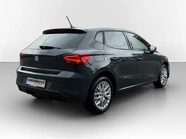 Seat Ibiza view 6