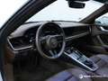 Porsche 992 911 CARRERA 4S COUPÉ 3.0L 450 CV PDK Weiß - thumbnail 16
