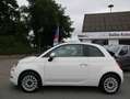 Fiat 500C 1.0 Dolcevita *Klimaauto*TFT*PDC*Alu*CarPlay*uvm! Weiß - thumbnail 7