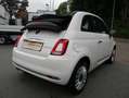 Fiat 500C 1.0 Dolcevita *Klimaauto*TFT*PDC*Alu*CarPlay*uvm! Weiß - thumbnail 6