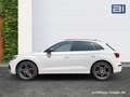 Audi SQ5 3.0 TFSI quattro*Nappa*B&O*Virtual*21Zoll* Weiß - thumbnail 2