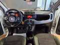 Fiat Panda 1.3 MJT 95 CV S&S 4x4 Bianco - thumbnail 7