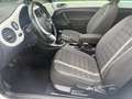 Volkswagen Beetle Beetle 1.2 TSI Design ***GPS CLIM TOIT OUVRANT *** Blanc - thumbnail 7