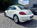 Volkswagen Beetle Beetle 1.2 TSI Design ***GPS CLIM TOIT OUVRANT *** Blanc - thumbnail 4