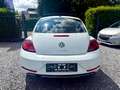 Volkswagen Beetle Beetle 1.2 TSI Design ***GPS CLIM TOIT OUVRANT *** Blanc - thumbnail 5