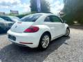Volkswagen Beetle Beetle 1.2 TSI Design ***GPS CLIM TOIT OUVRANT *** Blanc - thumbnail 6