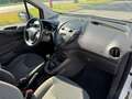 Ford Transit Connect Berlina Manual de 5 Puertas Blanco - thumbnail 13