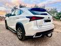 Lexus NX 300h NX 2.5 300h PACK WD Auto Blanco - thumbnail 13