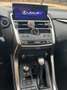 Lexus NX 300h NX 2.5 300h PACK WD Auto Blanco - thumbnail 8