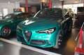 Alfa Romeo Stelvio Quadrifoglio Q4 AKRAPOVIC/21" Verde - thumbnail 8