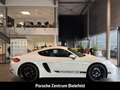 Porsche Cayman 718 Style Edition Rückfahrkamera Leder Weiß - thumbnail 7