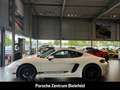 Porsche Cayman 718 Style Edition Rückfahrkamera Leder Weiß - thumbnail 2