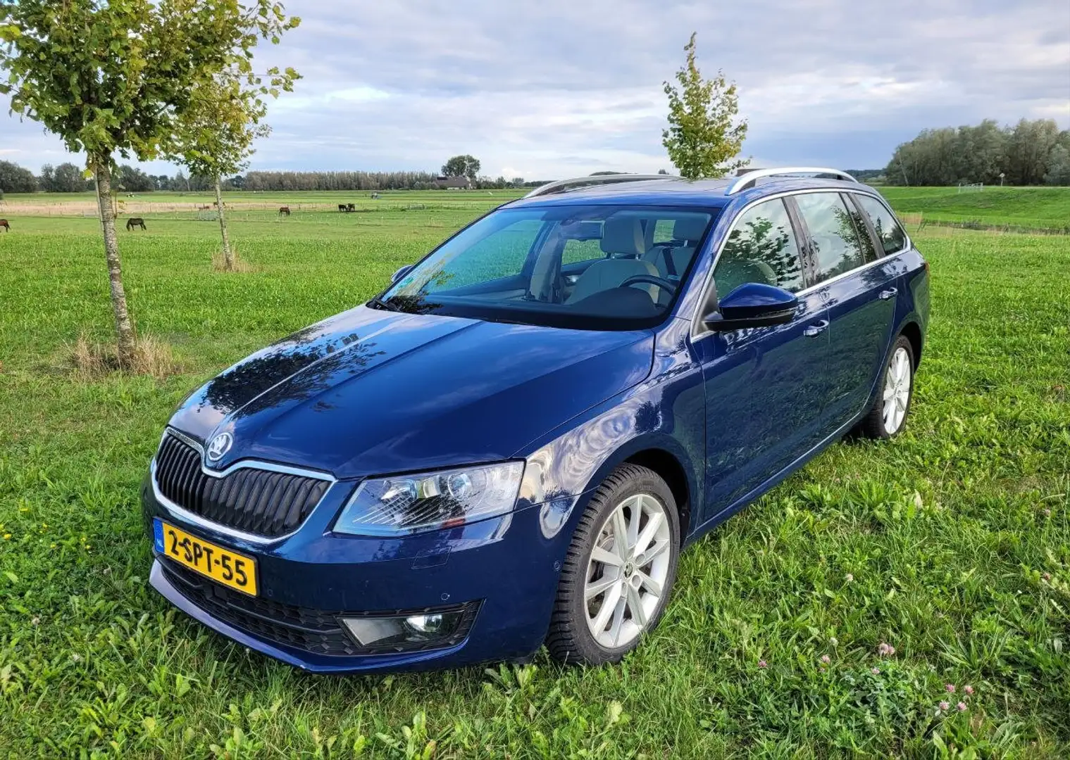 Skoda Octavia Combi 1.8 TSI DSG Elegance Business line Blauw - 1