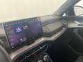 Skoda Kodiaq RS 4x4 TSI DSG Grau - thumbnail 10