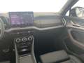 Skoda Kodiaq RS 4x4 TSI DSG Grau - thumbnail 37