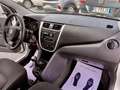 Suzuki Celerio 1.0 Easy " X COMMERCIANTI - LEGGI " Bianco - thumbnail 11