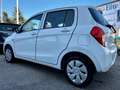 Suzuki Celerio 1.0 Easy " X COMMERCIANTI - LEGGI " Blanc - thumbnail 7