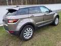 Land Rover Range Rover Evoque Range Rover Evoque 2,0 TD4 150 Braun - thumbnail 4