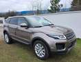 Land Rover Range Rover Evoque Range Rover Evoque 2,0 TD4 150 Braun - thumbnail 2