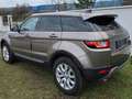 Land Rover Range Rover Evoque Range Rover Evoque 2,0 TD4 150 Braun - thumbnail 3