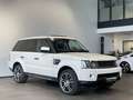Land Rover Range Rover Sport V6 TD HSE 3x Tv Kamera 20 Zoll Blanc - thumbnail 5