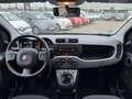 Fiat Panda Cross 1.0 GSE City Plus KLIMA*ALLWETTER Zwart - thumbnail 10
