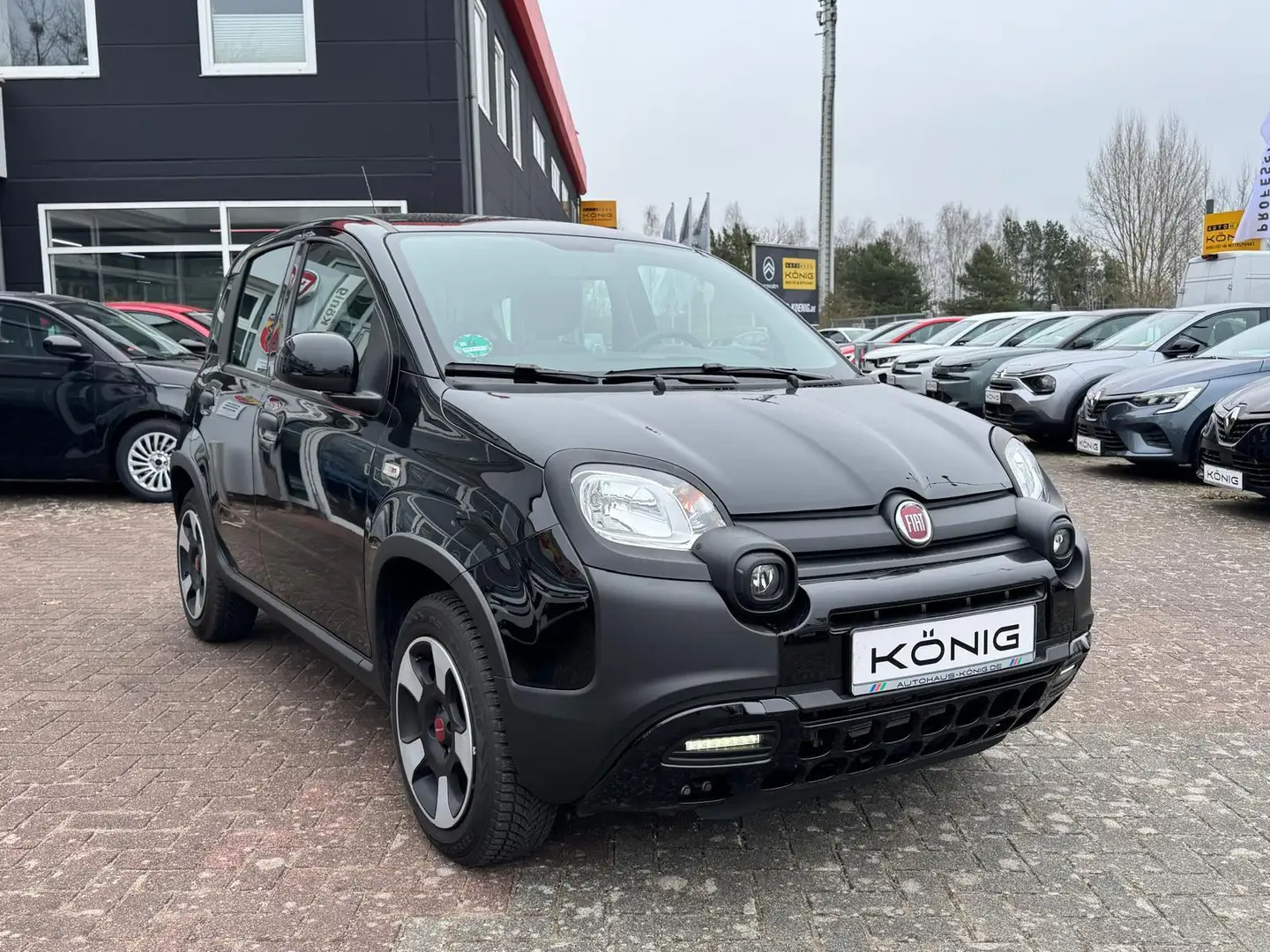 Fiat Panda Cross 1.0 GSE City Plus KLIMA*ALLWETTER Zwart - 2