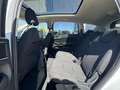 Ford S-Max 2.0 TDCi Allrad Titanium AHK Panoramadach - thumbnail 14