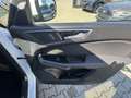 Ford S-Max 2.0 TDCi Allrad Titanium AHK Panoramadach - thumbnail 21