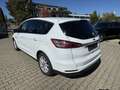 Ford S-Max 2.0 TDCi Allrad Titanium AHK Panoramadach - thumbnail 16